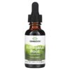 Swanson Astragalus Root Liquid Extract Alcohol & Sugar Free 1 fl oz (29.6 ml) 087614112169